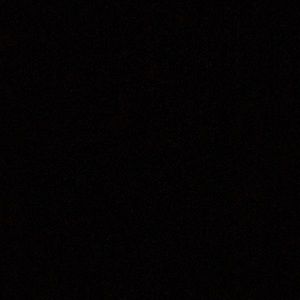 Meet your Posher, Bridget